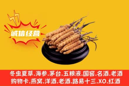 南京鼓楼区回收冬虫夏草